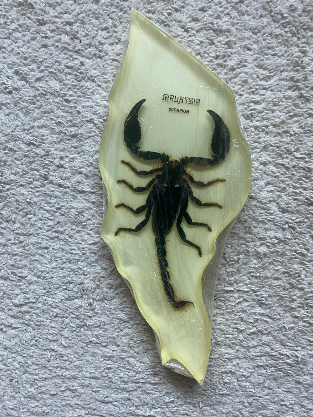 Malaysia Scorpion